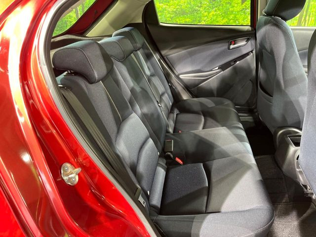 �㕔���Ȃ��C�ɂȂ�悤�ȃL�Y�E�����ւ��蓙�A�傫�ȃ_���[�W�͂Ȃ��A�ǍD�ȏ�Ԃł��B