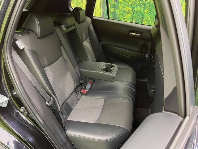 �㕔���Ȃ��C�ɂȂ�悤�ȃL�Y�E�����ւ��蓙�A�傫�ȃ_���[�W�͂Ȃ��A�ǍD�ȏ�Ԃł��B