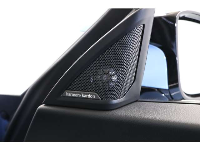 �n�C���C��PKG�Ɋ܂܂��harman/kardon�T�E���h�V�X�e���͓���̃h���C�u���܂�ŃR���T�[�g�z�[���̂悤�ɍʂ��Ă���܂��B�㎿�ȉ��y�ɐg���݂Ȃ���h���I�ȃh���C�u���y���ނ��Ƃ��ł��܂��B