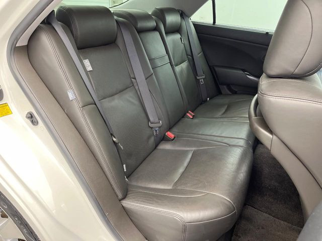 �㕔���Ȃ��C�ɂȂ�悤�ȃL�Y�E�����ւ��蓙�A�傫�ȃ_���[�W�͂Ȃ��A�ǍD�ȏ�Ԃł��B