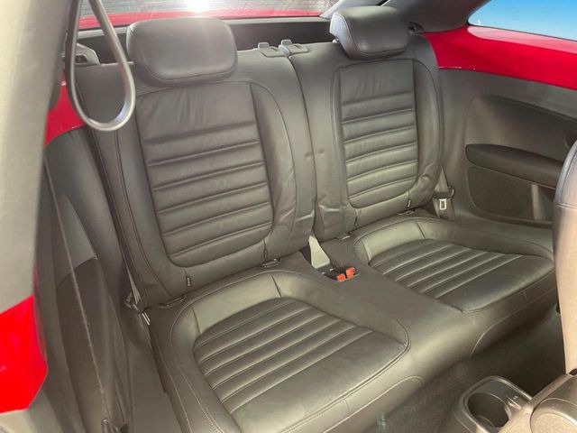 ���㕔���Ȃ��C�ɂȂ�悤�ȃL�Y�E�����ւ��蓙�A�傫�ȃ_���[�W�͂Ȃ��A�ǍD�ȏ�Ԃł��B