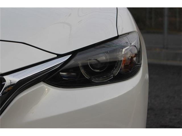 �����X�o���Ȃ����q�l�A���Ǝҗl�ւ̔̔��͂��f�肳���Ă��������܂��B�Ԍ������ԗ��̏ꍇ�́A�Ԍ����擾�������x�������z�ŕ\�����Ă���܂��B