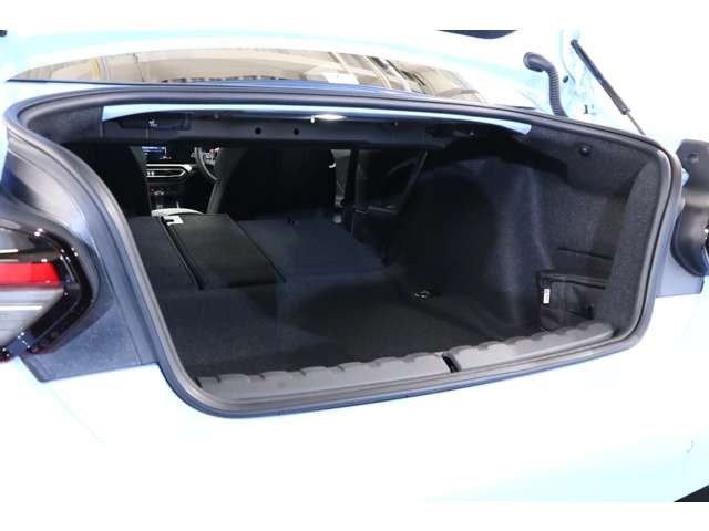 �R���p�N�g�ȃC���[�W������M2�ł����A�g�����N�X���[�\�ŁA�g�����N�͍L�X���g�����������܂��B�T���̃S���t�₨�������ɂ��g���闘�֐������˔����Ă���܂��B