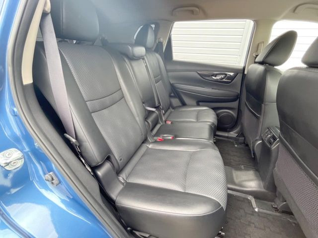 �㕔���Ȃ��C�ɂȂ�悤�ȃL�Y�E�����ւ��蓙�A�傫�ȃ_���[�W�͂Ȃ��A�ǍD�ȏ�Ԃł��B