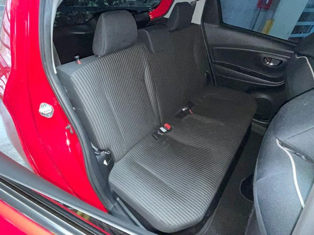 �㕔���Ȃ��C�ɂȂ�悤�ȃL�Y�E�����ւ��蓙�A�傫�ȃ_���[�W�͂Ȃ��A�ǍD�ȏ�Ԃł��B