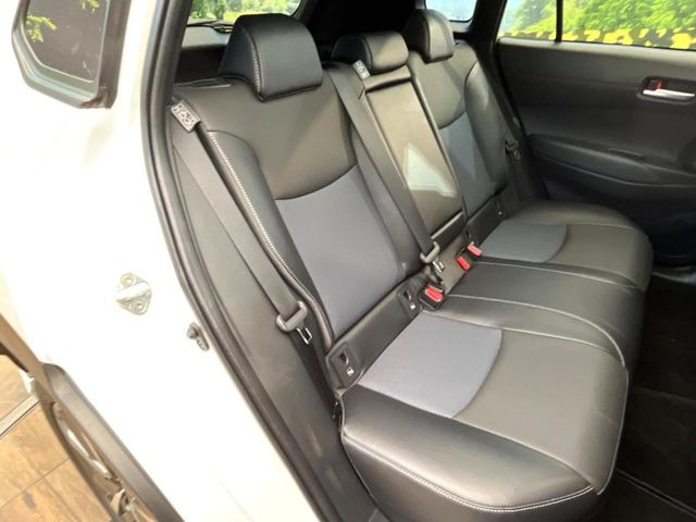 �㕔���Ȃ��C�ɂȂ�悤�ȃL�Y�E�����ւ��蓙�A�傫�ȃ_���[�W�͂Ȃ��A�ǍD�ȏ�Ԃł��B