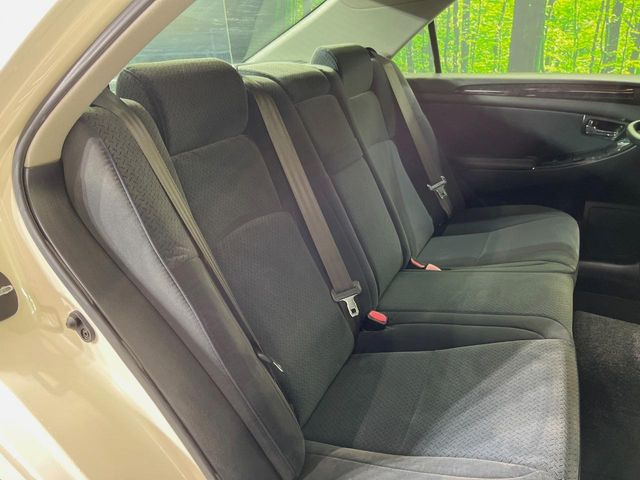 �㕔���Ȃ��C�ɂȂ�悤�ȃL�Y�E�����ւ��蓙�A�傫�ȃ_���[�W�͂Ȃ��A�ǍD�ȏ�Ԃł��B