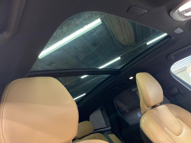 ���p�m���}�~�b�N�K���X���[�t:�唗�͂̃p�m���}���[�t�́A�㕔���Ȃɂ܂ő����Ă���A�J���I�ȋ�Ԃ����y���݂��������܂��B