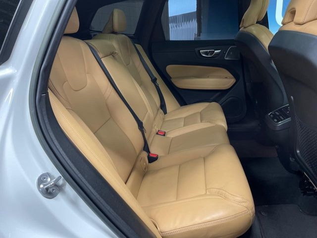 ���㕔���Ȃ��C�ɂȂ�悤�ȃL�Y�E�����ւ��蓙�A�傫�ȃ_���[�W�͂Ȃ��A�ǍD�ȏ�Ԃł��B