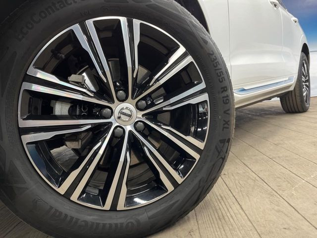 ������19�C���`�A���~�z�C�[��:�A���ԂȂ�ł͂̑�z����������x����z�C�[���Ƒ����ł�!���{�Ԃ̑���Ɋ���Ă�����ɂ����Б̊����Ē��������قǁA�������x���ł܂Ƃ܂��Ă��܂�!