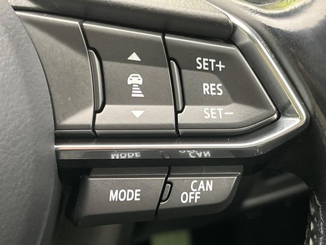 �y�}�c�_�E���[�_�[�N���[�Y�R���g���[���z�������H�ł̒��������s���y��!�����ő��x��ۂN���[�Y�R���g���[�����A�Փˌy���V�X�e���ƘA�g���A�O���̎ԗ������m���ĎԊԂ�ۂ悤�ɑ��x���߂��Ă���܂�!!