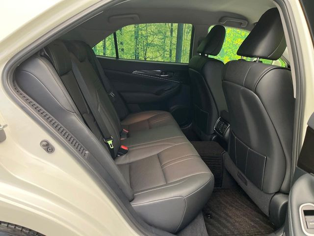 �㕔���Ȃ��C�ɂȂ�悤�ȃL�Y�E�����ւ��蓙�A�傫�ȃ_���[�W�͂Ȃ��A�ǍD�ȏ�Ԃł��B