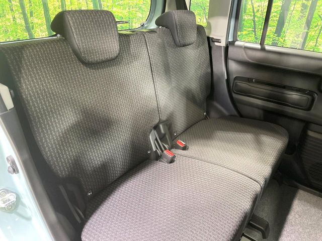 �㕔���Ȃ��C�ɂȂ�悤�ȃL�Y�E�����ւ��蓙�A�傫�ȃ_���[�W�͂Ȃ��A�ǍD�ȏ�Ԃł��B