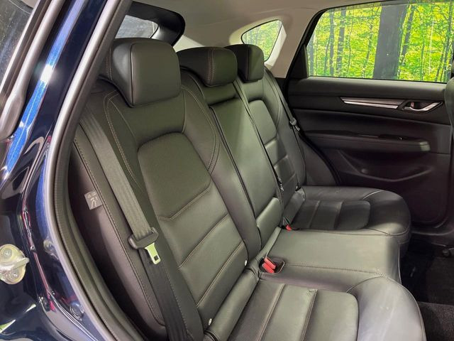 �㕔���Ȃ��C�ɂȂ�悤�ȃL�Y�E�����ւ��蓙�A�傫�ȃ_���[�W�͂Ȃ��A�ǍD�ȏ�Ԃł��B