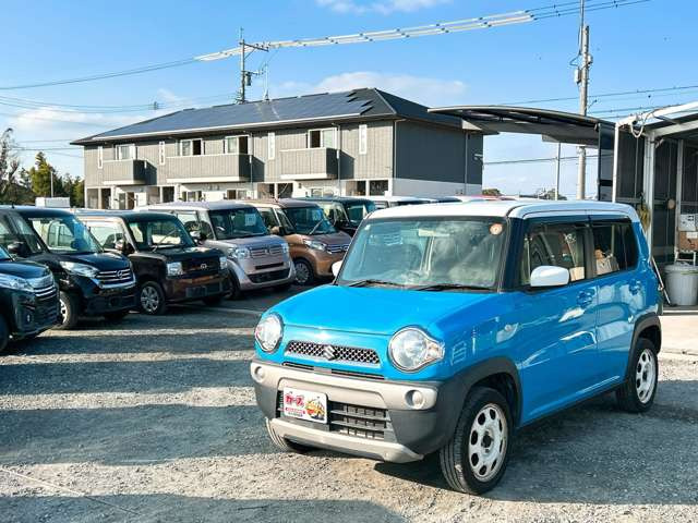 �y39.8���X�J�[�Y�̎��q���������������A���ɂ��肪�Ƃ��������܂��B���������S�s���c1186-7TEL:0942-73-6060�܂ł��⍇����������