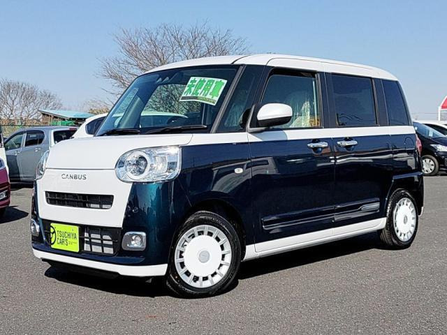 ムーヴキャンバスストライプス G