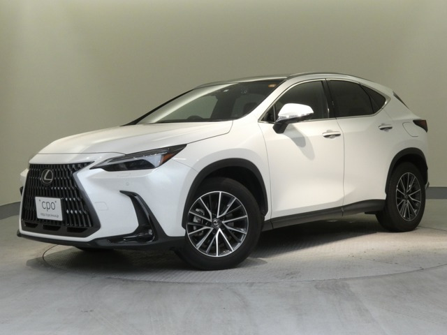 NX