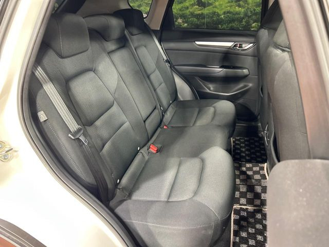 �㕔���Ȃ��C�ɂȂ�悤�ȃL�Y�E�����ւ��蓙�A�傫�ȃ_���[�W�͂Ȃ��A�ǍD�ȏ�Ԃł��B