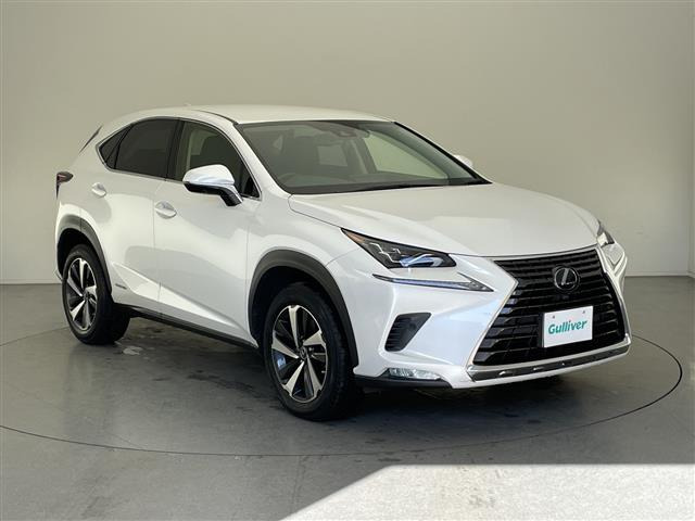 NX300h バージョンL