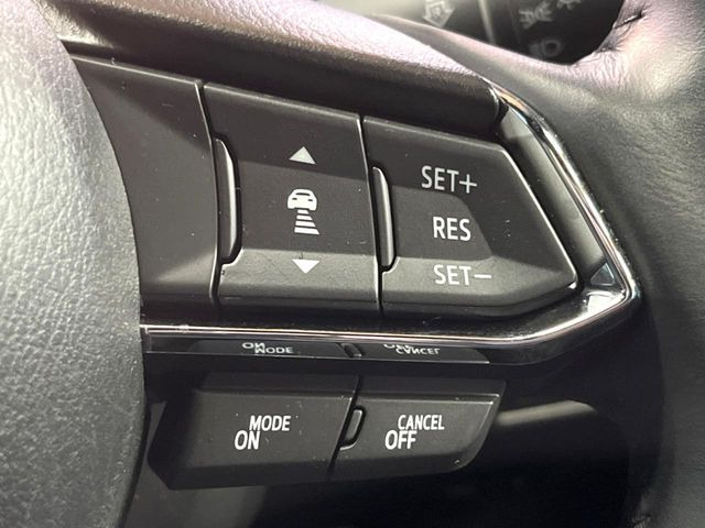 �y�}�c�_�E���[�_�[�N���[�Y�R���g���[���z�������H�ł̒��������s���y��!�����ő��x��ۂN���[�Y�R���g���[�����A�Փˌy���V�X�e���ƘA�g���A�O���̎ԗ������m���ĎԊԂ�ۂ悤�ɑ��x���߂��Ă���܂�!!