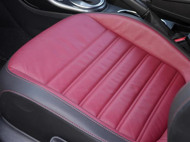 ザ・ビートルRライン マイスター