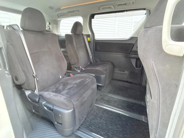 �㕔���Ȃ��C�ɂȂ�悤�ȃL�Y�E�����ւ��蓙�A�傫�ȃ_���[�W�͂Ȃ��A�ǍD�ȏ�Ԃł��B