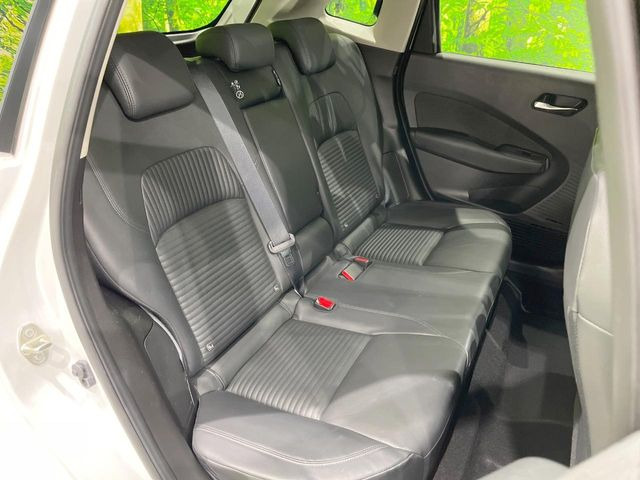 �㕔���Ȃ��C�ɂȂ�悤�ȃL�Y�E�����ւ��蓙�A�傫�ȃ_���[�W�͂Ȃ��A�ǍD�ȏ�Ԃł��B