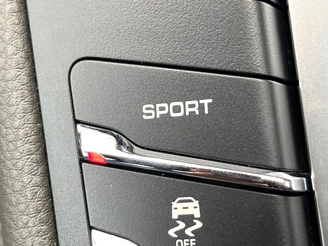 ���X�|�[�c���[�h:�|���V�F�Ȃ�ł͂̑�������y���݂��������܂�!