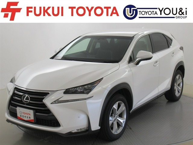 NX200t バージョンL