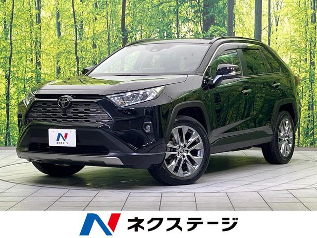 RAV4(トヨタ) 2.0 G Zパッケージ 4WD 中古車画像