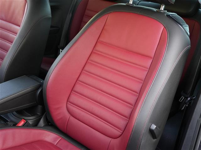 ザ・ビートルRライン マイスター