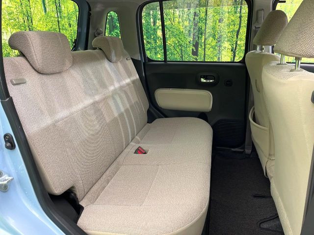 �㕔���Ȃ��C�ɂȂ�悤�ȃL�Y�E�����ւ��蓙�A�傫�ȃ_���[�W�͂Ȃ��A�ǍD�ȏ�Ԃł��B