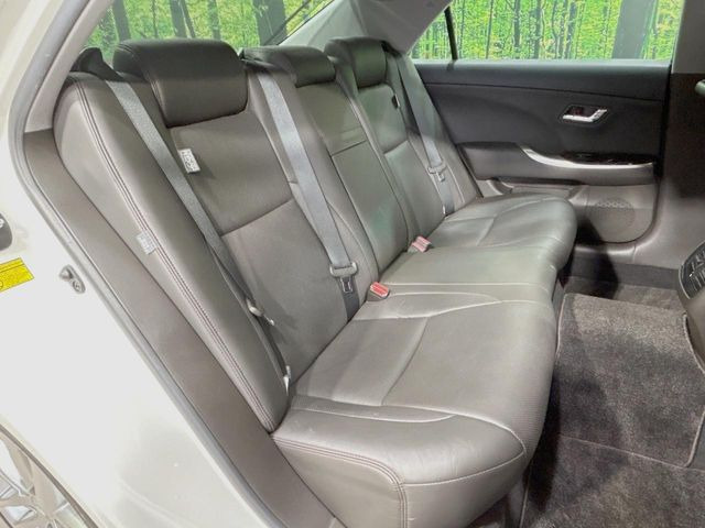 �㕔���Ȃ��C�ɂȂ�悤�ȃL�Y�E�����ւ��蓙�A�傫�ȃ_���[�W�͂Ȃ��A�ǍD�ȏ�Ԃł��B