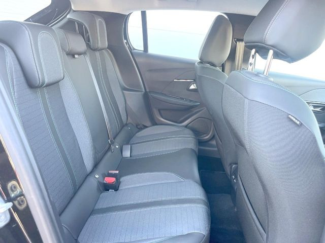 ���㕔���Ȃ��C�ɂȂ�悤�ȃL�Y�E�����ւ��蓙�A�傫�ȃ_���[�W�͂Ȃ��A�ǍD�ȏ�Ԃł��B