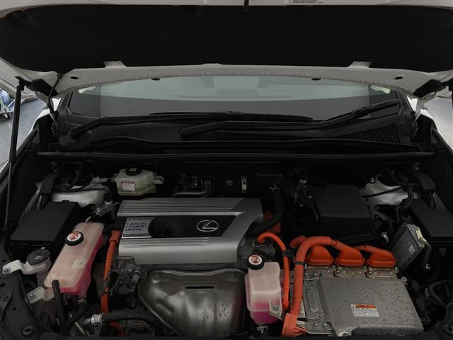 NX300h バージョンL