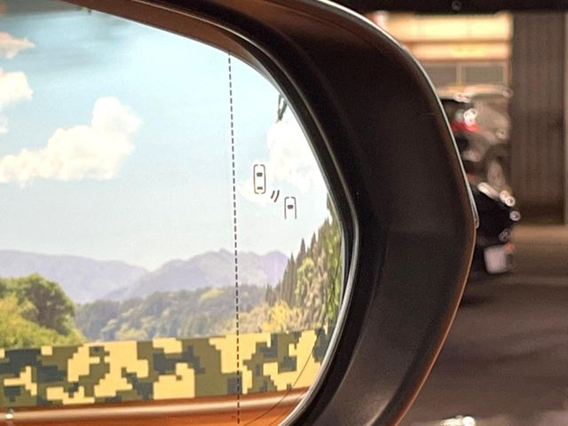 �y�u���C���h�X�|�b�g���j�^�[�z���s���A�h�A�~���[�̎��p�ɂȂ�₷���ӏ��Ɍ㑱�Ԃ��ڋ߂���ƃT�C�h�~���[�̃����Y�Ɍx����\��!�h���C�o�[�ɒ��ӊ��N�����Ă���܂��B