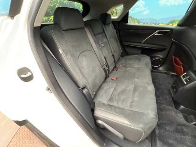 �㕔���Ȃ��C�ɂȂ�悤�ȃL�Y�E�����ւ��蓙�A�傫�ȃ_���[�W�͂Ȃ��A�ǍD�ȏ�Ԃł��B