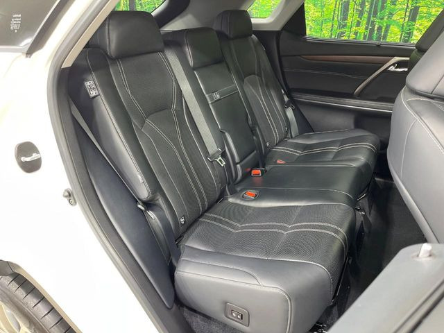 �㕔���Ȃ��C�ɂȂ�悤�ȃL�Y�E�����ւ��蓙�A�傫�ȃ_���[�W�͂Ȃ��A�ǍD�ȏ�Ԃł��B