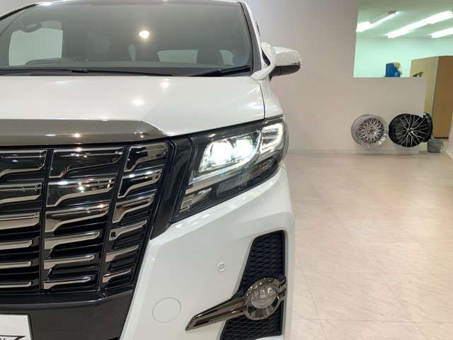 ��ԑ��s��R�����s�ł����E�ǍD��LED�w�b�h���C�g�t��!