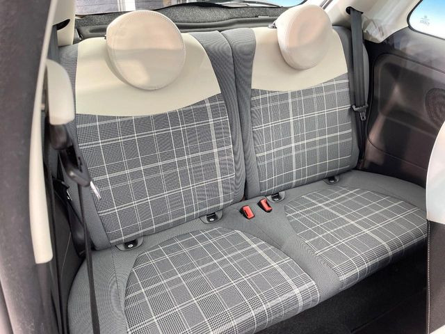 ���㕔���Ȃ��C�ɂȂ�悤�ȃL�Y�E�����ւ��蓙�A�傫�ȃ_���[�W�͂Ȃ��A�ǍD�ȏ�Ԃł��B