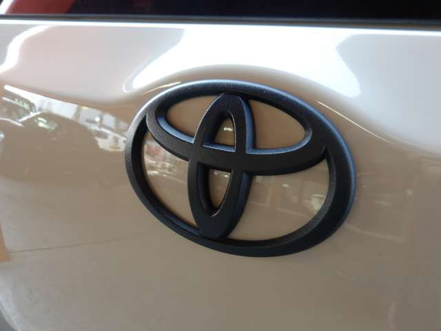 �G���u�����A�J�X�^���y�C���g��