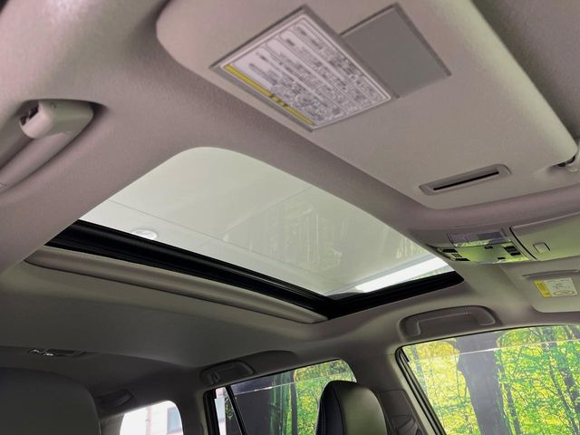 �y�T�����[�t�z�J���������Ղ�̊󏭑����A�T�����[�t����������Ă��܂�!�ԓ��ɖ�����������ꂽ��i�F���y���ވȊO�ɂ��A�ԓ��̋�C���ȒP�Ɋ��C�ł��ĉ��K�ł�!