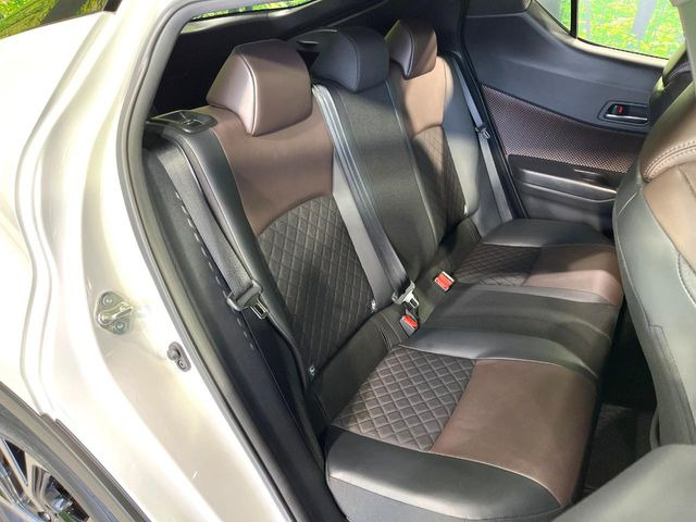 �㕔���Ȃ��C�ɂȂ�悤�ȃL�Y�E�����ւ��蓙�A�傫�ȃ_���[�W�͂Ȃ��A�ǍD�ȏ�Ԃł��B