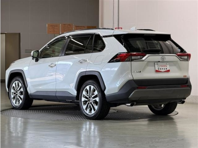 RAV42.0 G Zパッケージ 4WD