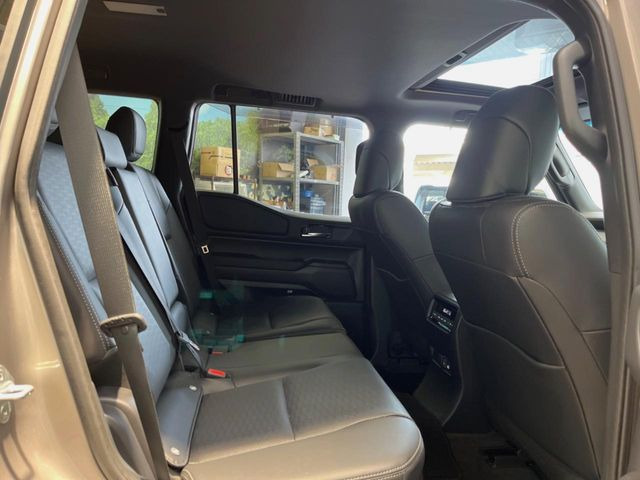 �㕔���Ȃ��C�ɂȂ�悤�ȃL�Y�E�����ւ��蓙�A�傫�ȃ_���[�W�͂Ȃ��A�ǍD�ȏ�Ԃł��B