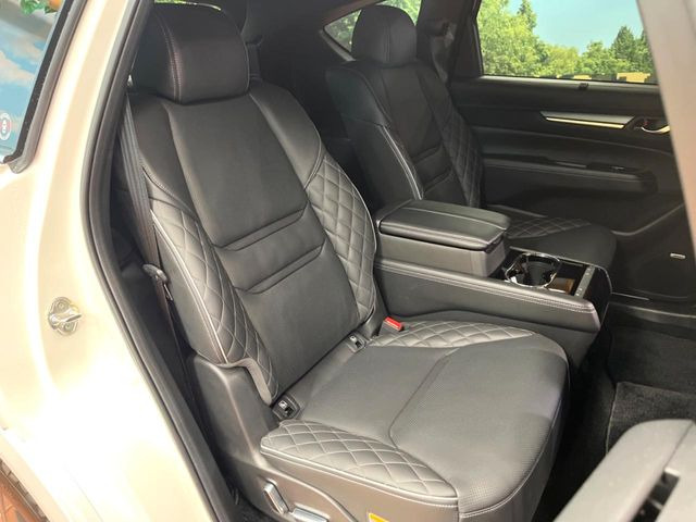 �㕔���Ȃ��C�ɂȂ�悤�ȃL�Y�E�����ւ��蓙�A�傫�ȃ_���[�W�͂Ȃ��A�ǍD�ȏ�Ԃł��B