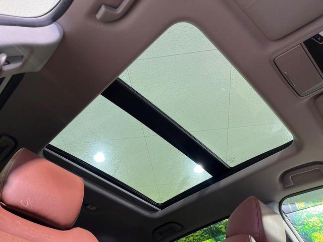 �y�T�����[�t�z�J���������Ղ�̊󏭑����A�T�����[�t����������Ă��܂�!�ԓ��ɖ�����������ꂽ��i�F���y���ވȊO�ɂ��A�ԓ��̋�C���ȒP�Ɋ��C�ł��ĉ��K�ł�!