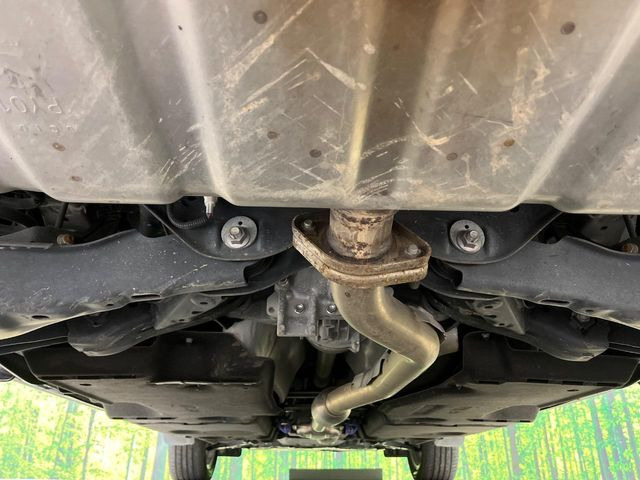 ����肪���ꂢ�Ȃ����ɁA�h�K���H�̎{�H���I�X�X���B�~��n��͂������A���ݕ��ɂ��Z���̕���A��Ń}�����E�E�B���^�[�X�|�[�c���������ɂ��D�]���������Ă���܂��B