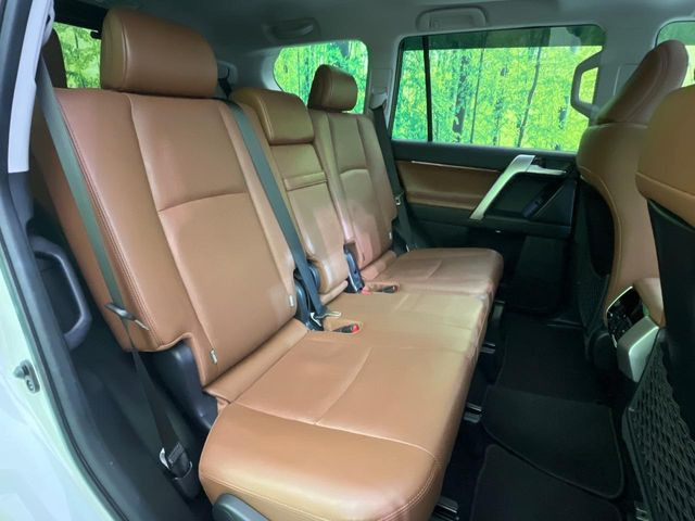 �㕔���Ȃ��C�ɂȂ�悤�ȃL�Y�E�����ւ��蓙�A�傫�ȃ_���[�W�͂Ȃ��A�ǍD�ȏ�Ԃł��B