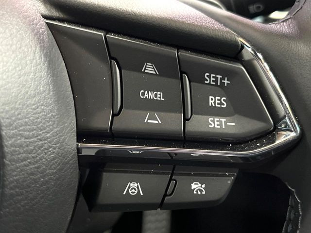 �y�}�c�_�E���[�_�[�N���[�Y�R���g���[���z�������H�ł̒��������s���y��!�����ő��x��ۂN���[�Y�R���g���[�����A�Փˌy���V�X�e���ƘA�g���A�O���̎ԗ������m���ĎԊԂ�ۂ悤�ɑ��x���߂��Ă���܂�!!